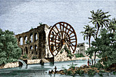 Egyptian water wheel