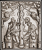 16th Century alcohol distillation