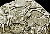 One of the first depictions of the wheel