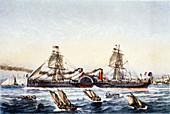S. S. Washington,French paddleship,1864