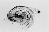 Artwork of the Whirlpool Galaxy made by Lord Rosse