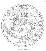 Northern celestial map
