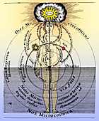 17th-century medical astrology