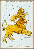 Leo constellations