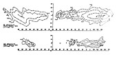 Reber's radio contour map of Milky Way