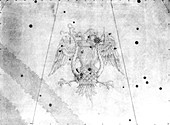 Lyra constellation,1603