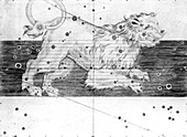 Leo constellation,1603