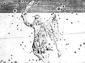 Orion constellation,1603