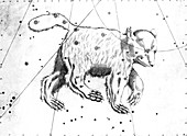 Ursa Major constellation,1603
