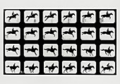 High-speed sequence of a silhouetted jumping horse
