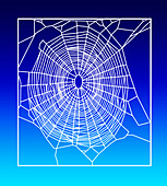 Garden spider web,computer artwork