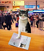 Pet passport