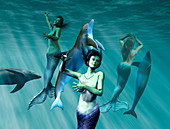 Mermaids with dolphins