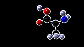 Alanine molecule