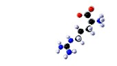 Arginine molecule