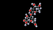 Lactose molecule