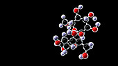 Sucrose molecule