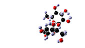 Sucrose molecule