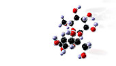 Sucrose molecule