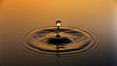 Water droplet falling into liquid