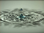 Water drop falls into water
