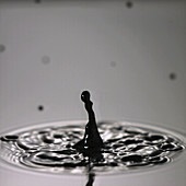Water drop into dark water