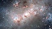 Panning on NGC 4449 galaxy