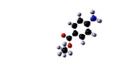 Benzocaine molecule