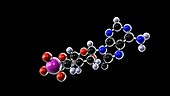 Adenosine monophosphate