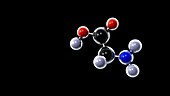Glycine molecule