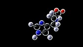 Histidine molecule