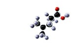 Leucine molecule