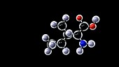 Isoleucine molecule