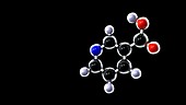 Vitamin B3 molecule