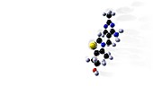 Vitamin B1 molecule