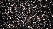 Omega Centauri black hole
