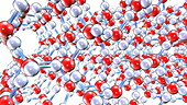 Water phase changes, molecular model.