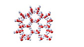 Water phase changes, molecular model.