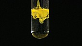 Lead II iodide precipitate