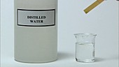 Universal indicator paper in water