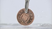 Silver crystals forming on a coin