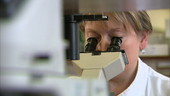 Pathologist looking through microscope