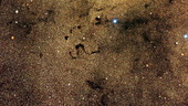 Snake nebula Barnard 72