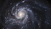 Spiral galaxy M101