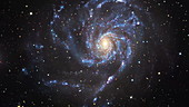Pinwheel galaxy M101