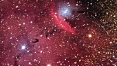 Emission nebula NGC 6559
