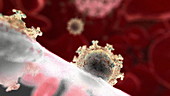 HIV particles budding from a cell