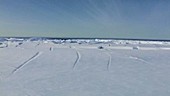 Ice front, Brunt Ice Shelf, Antarctica