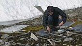 Antarctic moss research