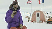 Researcher talking in Antarctica
